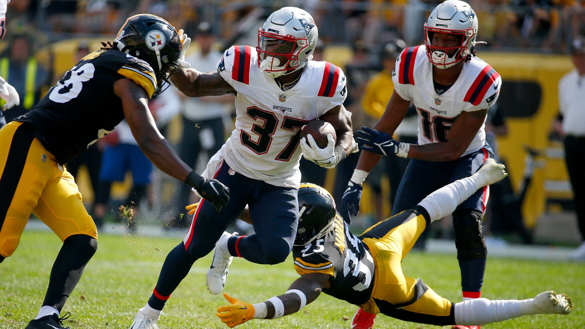 心理素质的 心理素质的